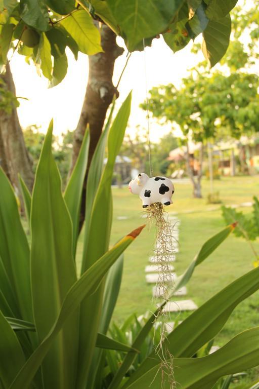 Paan Yong Villa Ban Thi Bagian luar foto