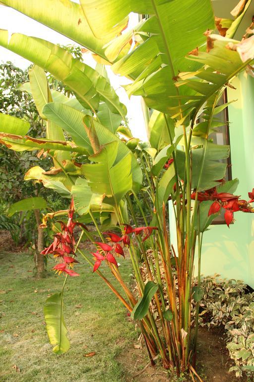 Paan Yong Villa Ban Thi Bagian luar foto